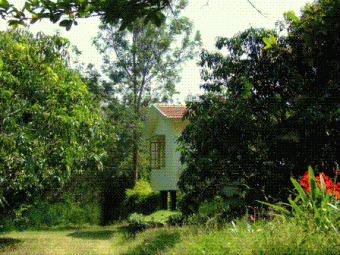 Scenic Land near Mysore IT hub Mysore