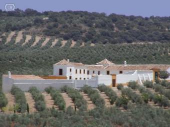 200033-spain-malaga-property Antequera