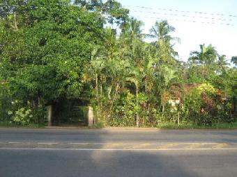 Land with House for Sale (48P) Negombo