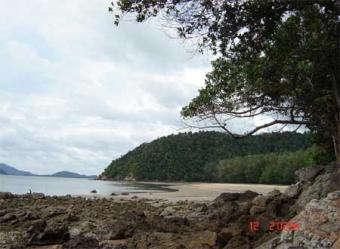 beachfront land plot for sell or Krabi