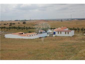 Horse farm in Alentejo Almod�var