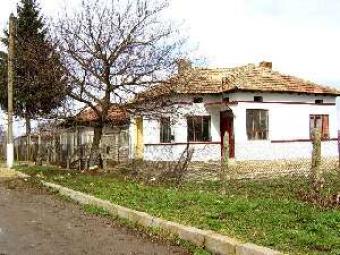 ZAG010 NEAT WHITEWASHED BUNGALOW Dobrich