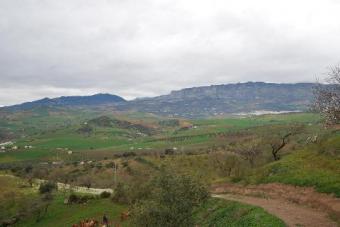 200034-spain-malaga-finca Casabermeja