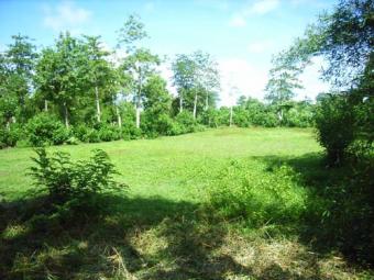 Great flat Land for Sale in Jimb Bali
