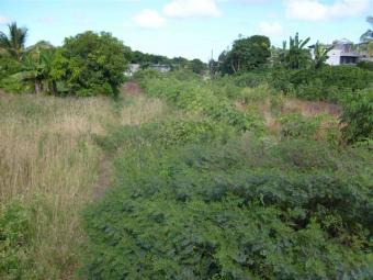 LAND FOR SALE P Raffray