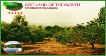land for sale CHIANGMAI THAILAND Chiang Mai
