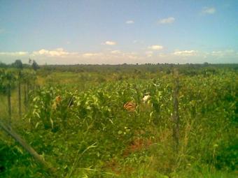 PLOT FOR SALE-RUAI Kangundo Road.