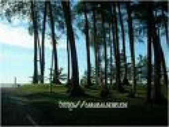 last prime beachfront land !Miri Miri