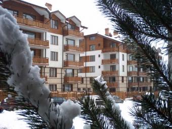 Four leaf clover Bansko