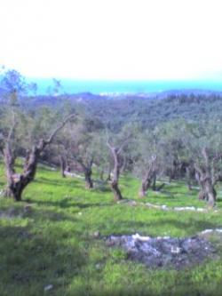 New House In Corfu Corfu