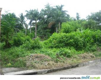 LOT FOR SALE 330SQ.M MARYMOUNT Sta. Rosa Laguna