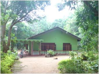 House with Land in Dambulla Dambulla
