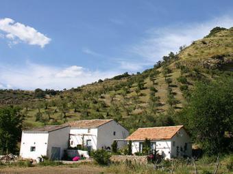 finca las canchas Setenil Andalucia