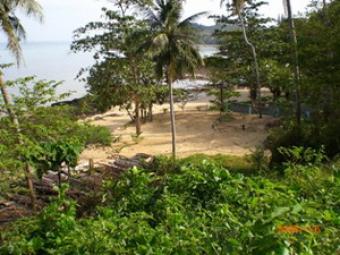 Beach Front Land - Phuket Phuket