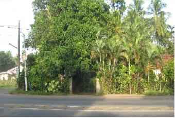 Land with house for sale (18 P) Negombo