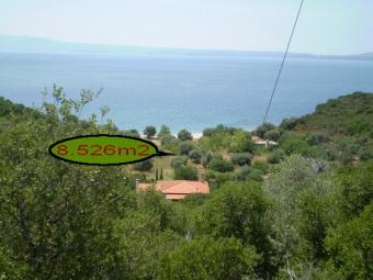 Plot 8500m2 near to sea Halkidiki Sithonia