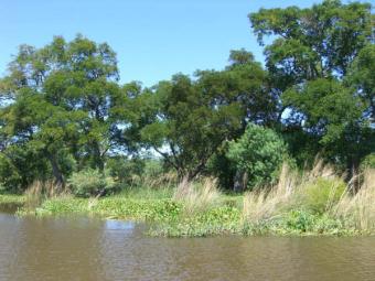 Farmland Property for Sale San Javier