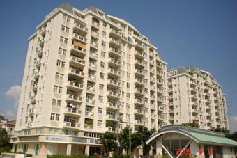V&V Real Estate Consultancy Hcmc
