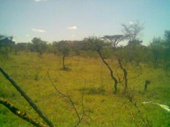 PLOT FOR SALE-KANDISI Nairobi Rongai