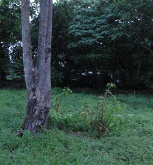 Property on Sale at Teouma Port Vila