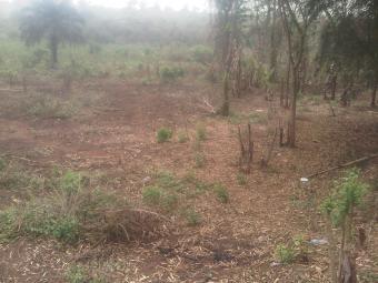 Land on Lagos-Ibadan expressway Igere