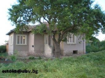 rural house Snyagovo