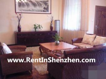 Shenzhen Apartment,350sqm 5BR 28 Shenzhen