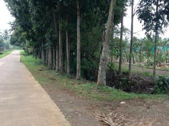 FOR SALE  27500 SQM FARMLOT Davao