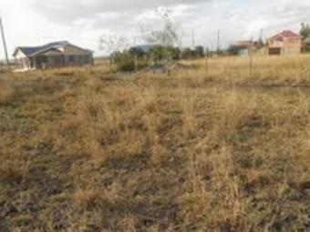 Prime Development Plots-Barnabas Nakuru East