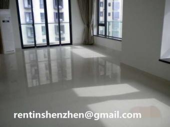 URGENT///Empty Apartment rent in Shenzhen
