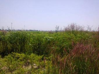 1. 85 hectares at maitama Maitama