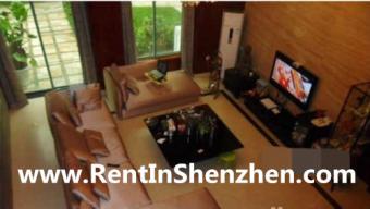 Futian CBD,Clean,Western style 2 Shenzhen