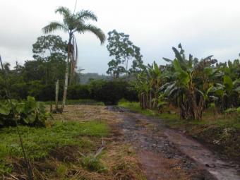 Santacruz, Guanacaste,Costa Rica Guanacaste