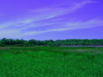 Buy Land and Houses at Limbe Limbe