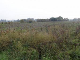 Investment land in Poland Warsaw