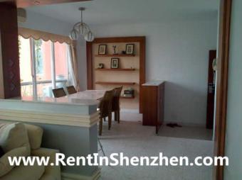 Shenzhen Apartment Rent/NanShan/ Shenzhen