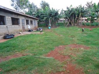 plot for sale 1/2acre Kiambu