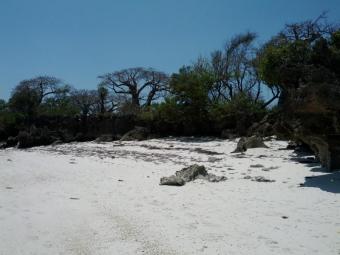 BEACH PLOT FOR SALE Mombasa
