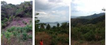 Tagaytay Lot for Developers Tagaytay