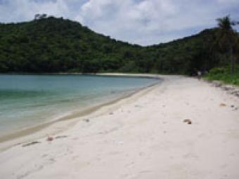Phi Phi Beach land for sale Krabi