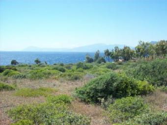 LAND 6.000m2 IN TRIZONIA ISLAND Nafpaktos