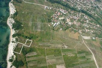 Two amazing first line plots Byala