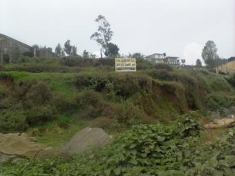 Land for sale Nuwaraeliya Nuwaraeliya Colony