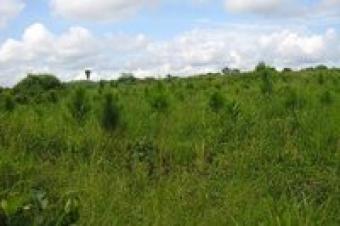 land for sale Kampala