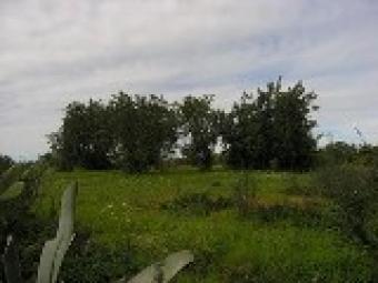 Plot of Land - Quarteira Loul�