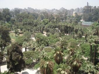 Apartment for rent in Zamalek Zamalek