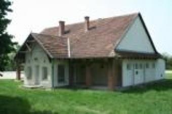 Living in thermal surrounding. Tiszak&uuml;rt