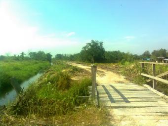 LAHAN SAWIT 15 HEKTAR Pekanbaru