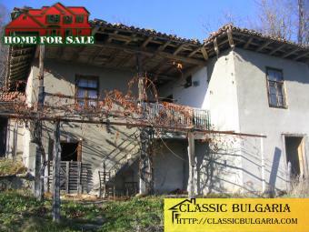 BG House - 5000 EUR Elena