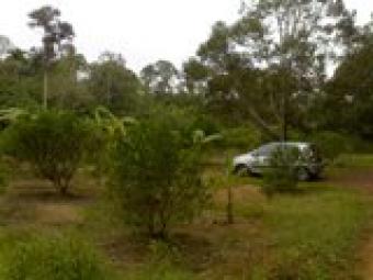 Land for Development Sg Mati Muar